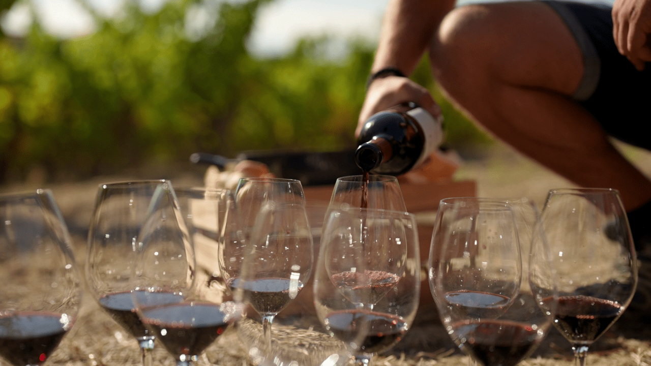 Fotograma del documental "Rioja, la tierra de los mil vinos"