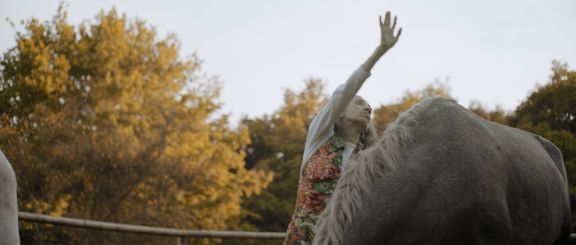 Caballo y persona en el campo
