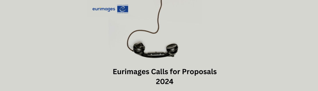Banner Euroimages calls for proposals