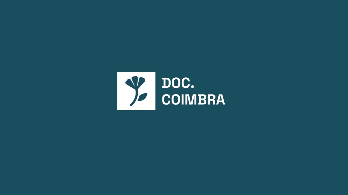 Festival Coimbra.jpg