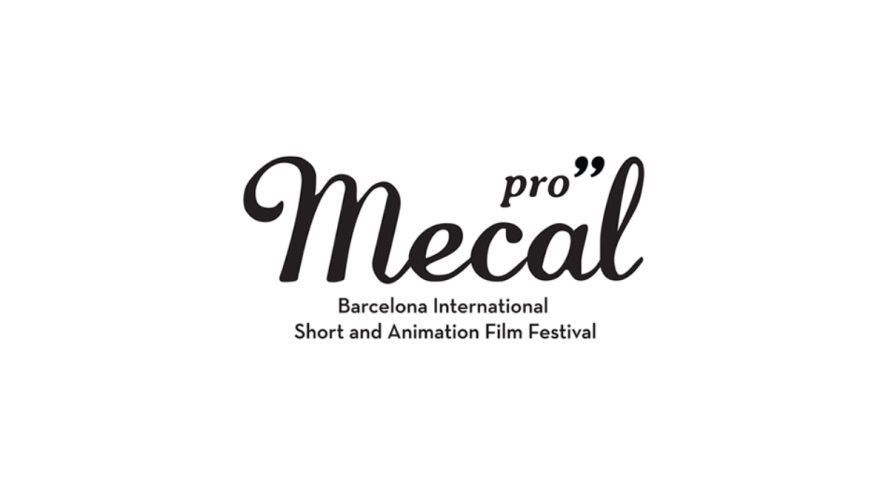 Festival Mecal Pro.jpg