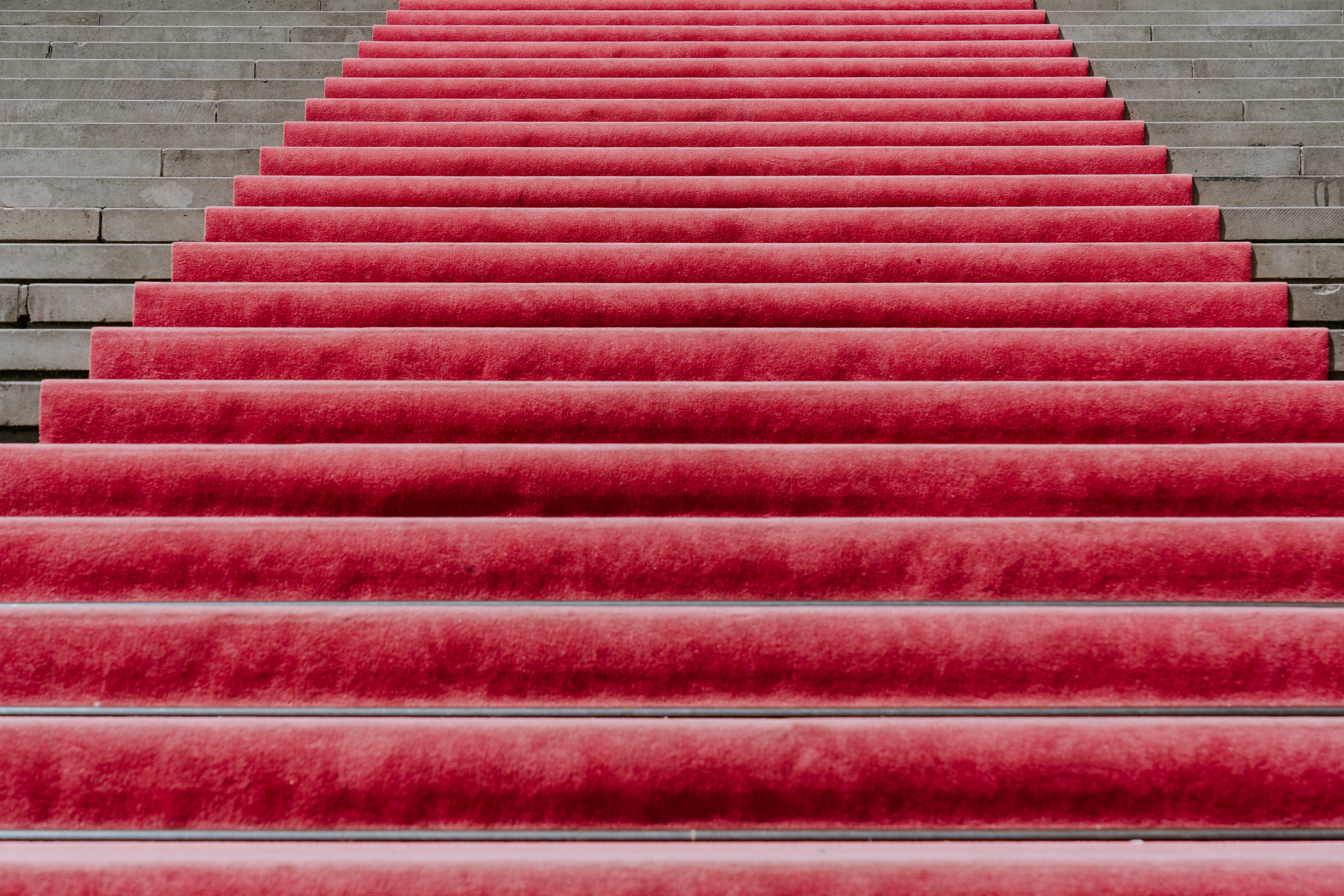 claudio-schwarz-Xjp9CDaxAX8-unsplash.jpg