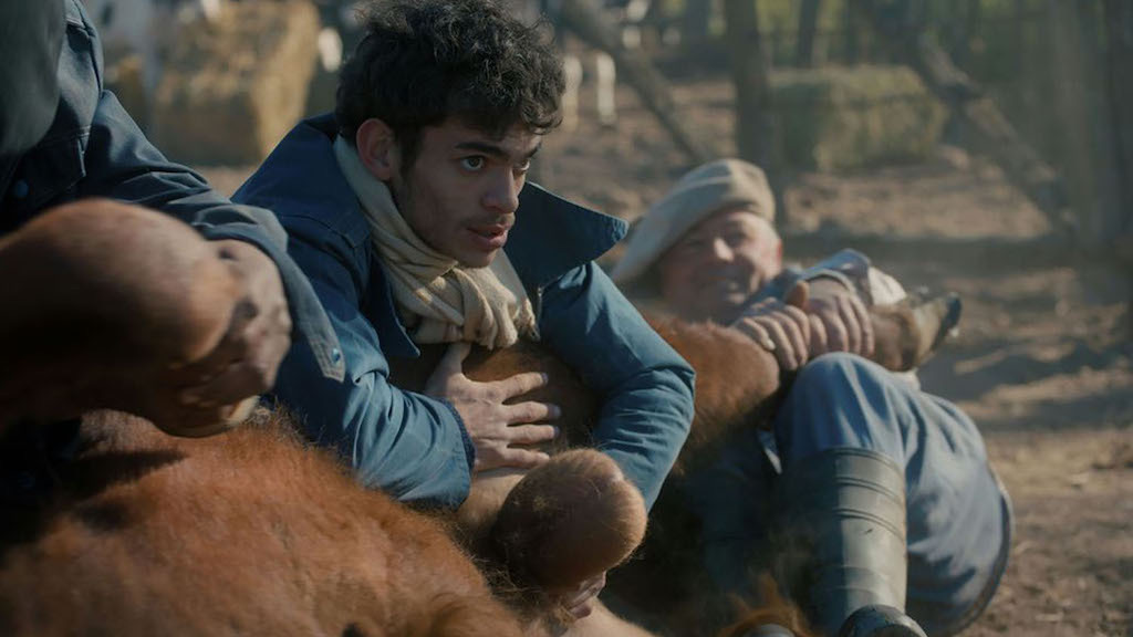 Fotograma de la película Matadero