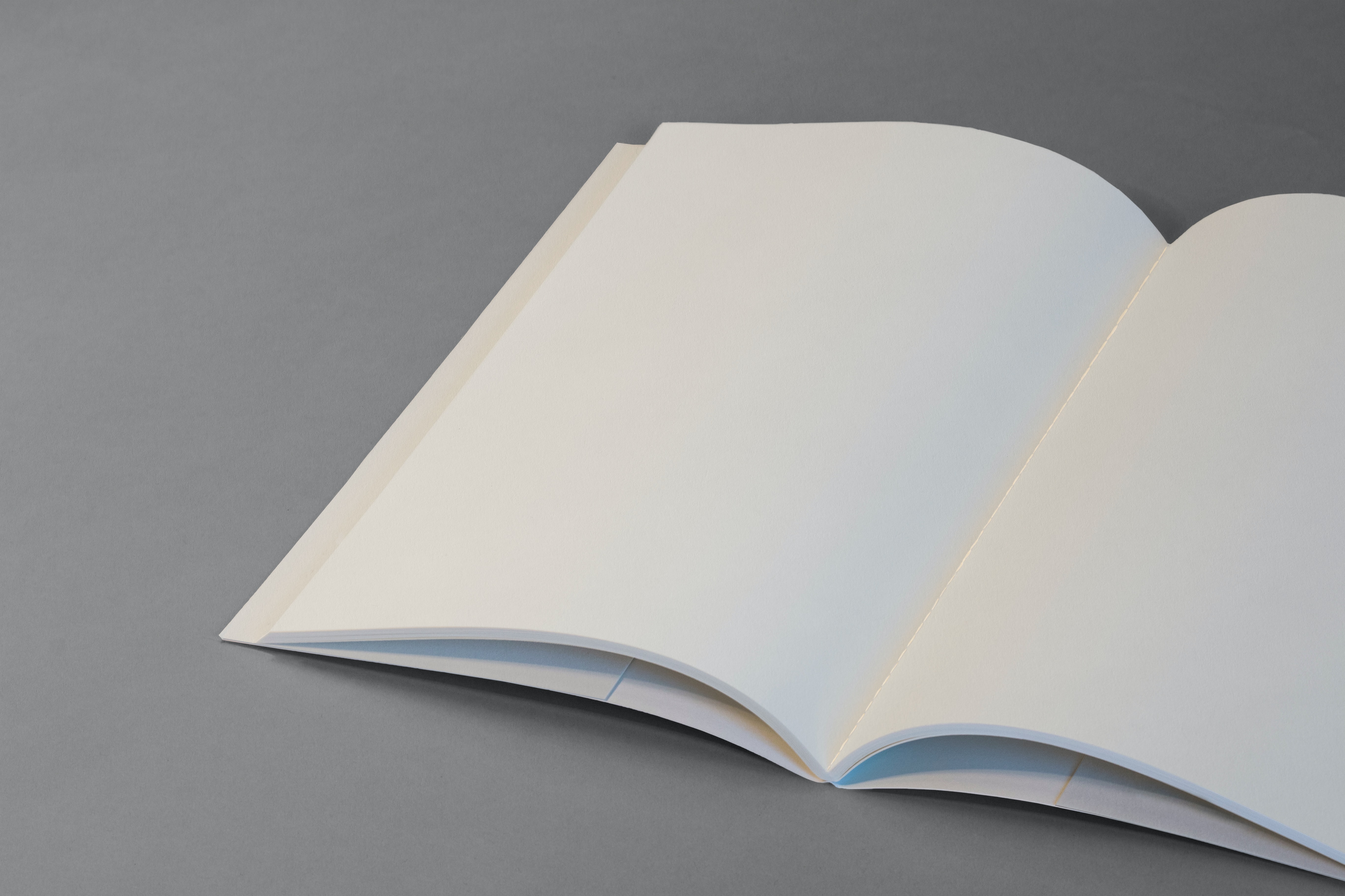 Libro en blanco