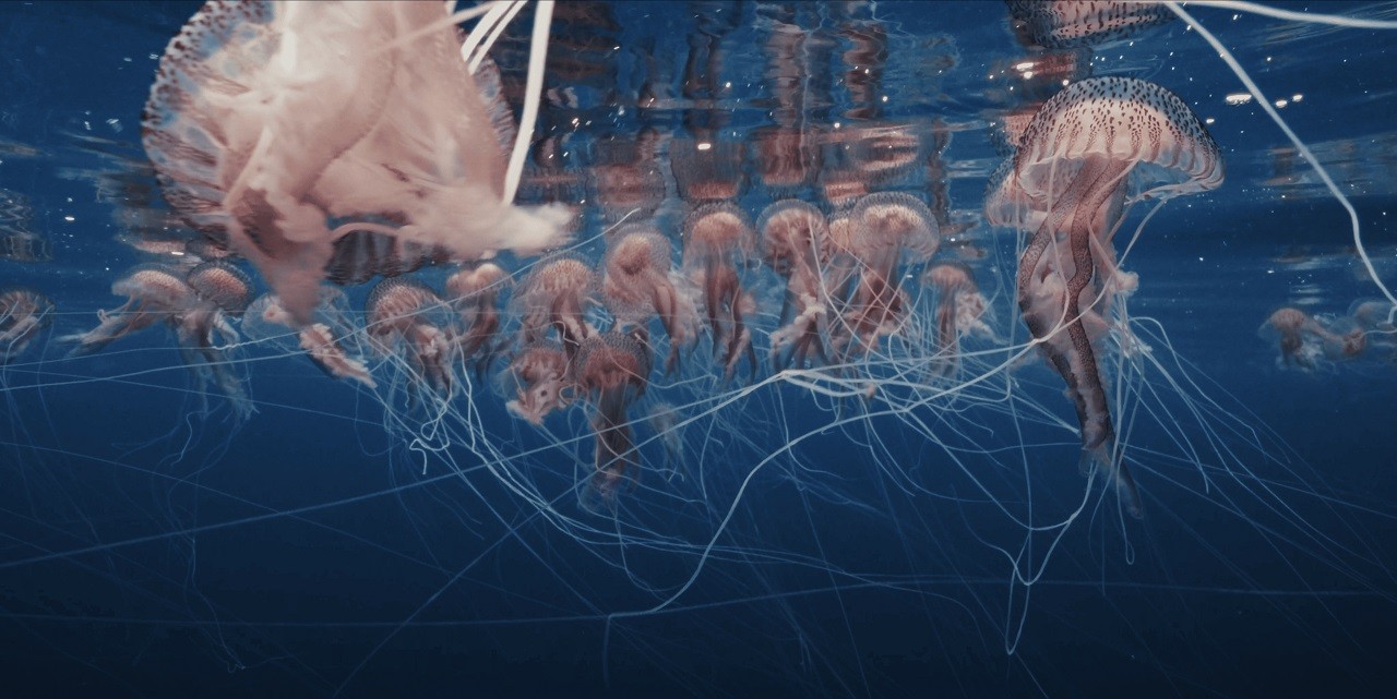 Fotograma de la película "Kantauri"