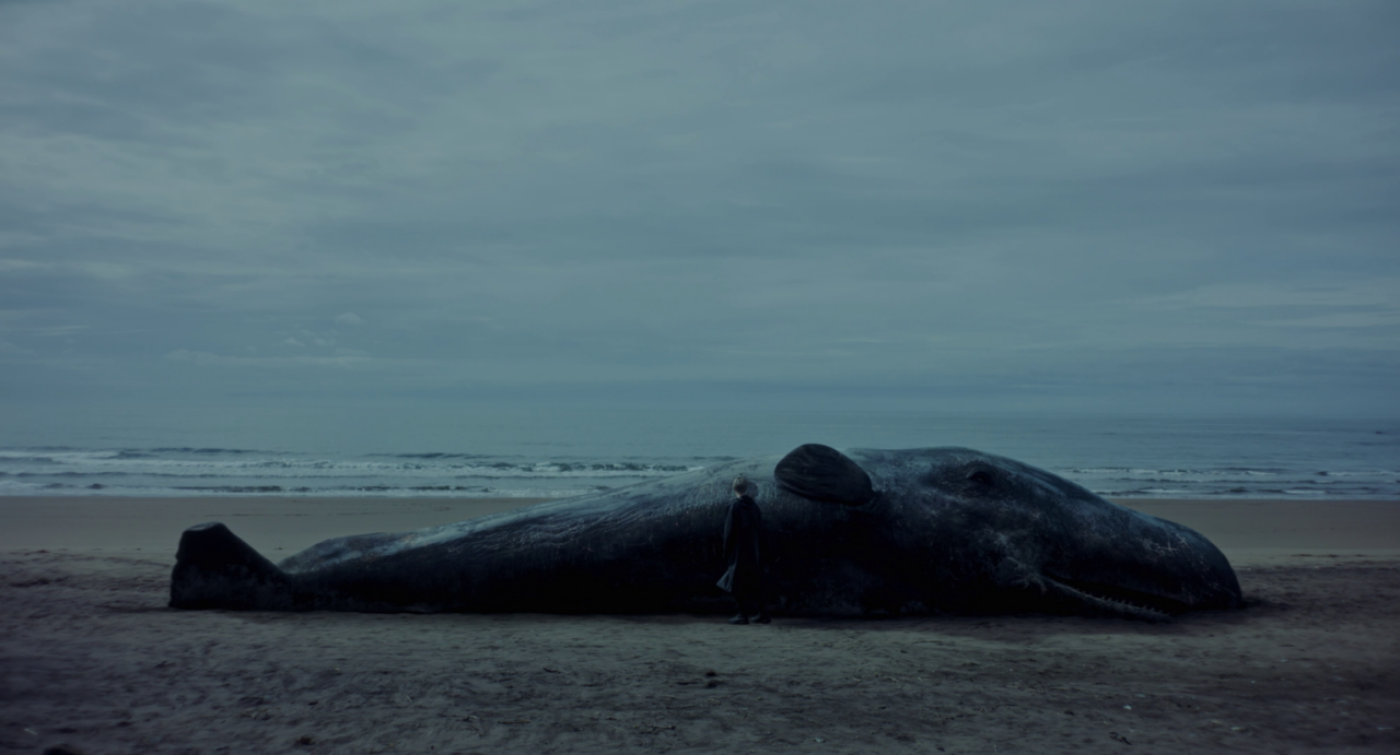 Fotograma de la película "Una ballena"