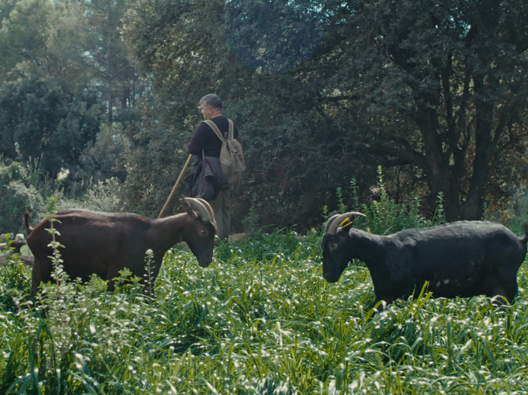 Fotograma del documental "Fauna"