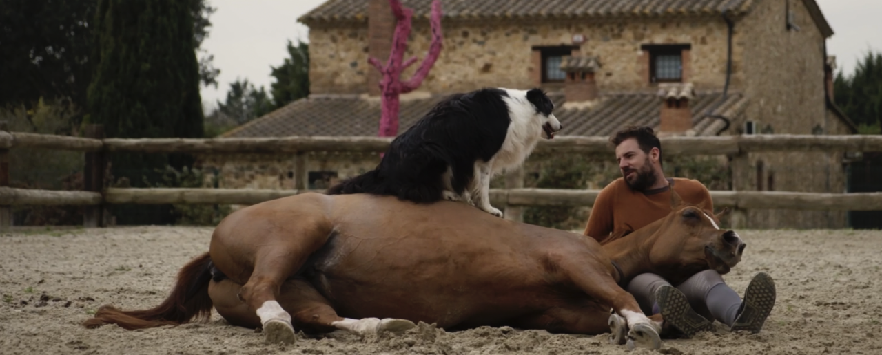 Fotograma del documental Hermano Caballo