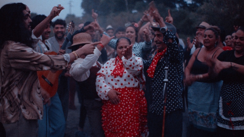 Fotograma del documental "La guitarra flamenca"