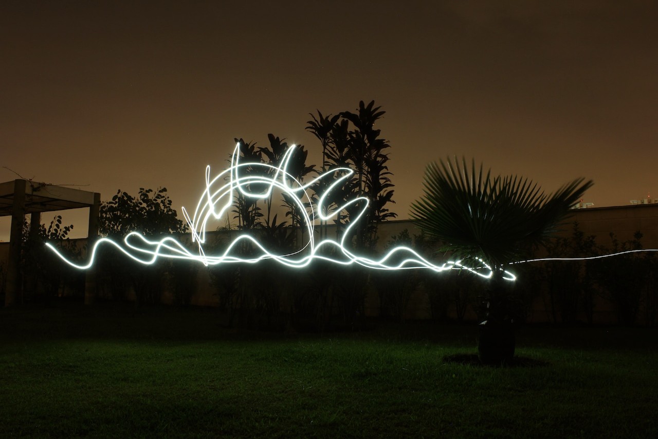 imagen de un paisaje combinando un jardín nocturno con un haz fluorescente dibujando una silueta abstracta