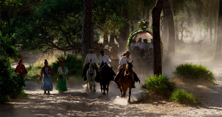 Fotograma de la película "Doñana donde el agua es sagrada"