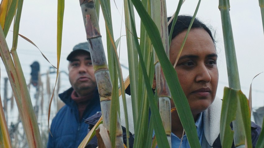 Fotograma de la película "Historias del buen valle"