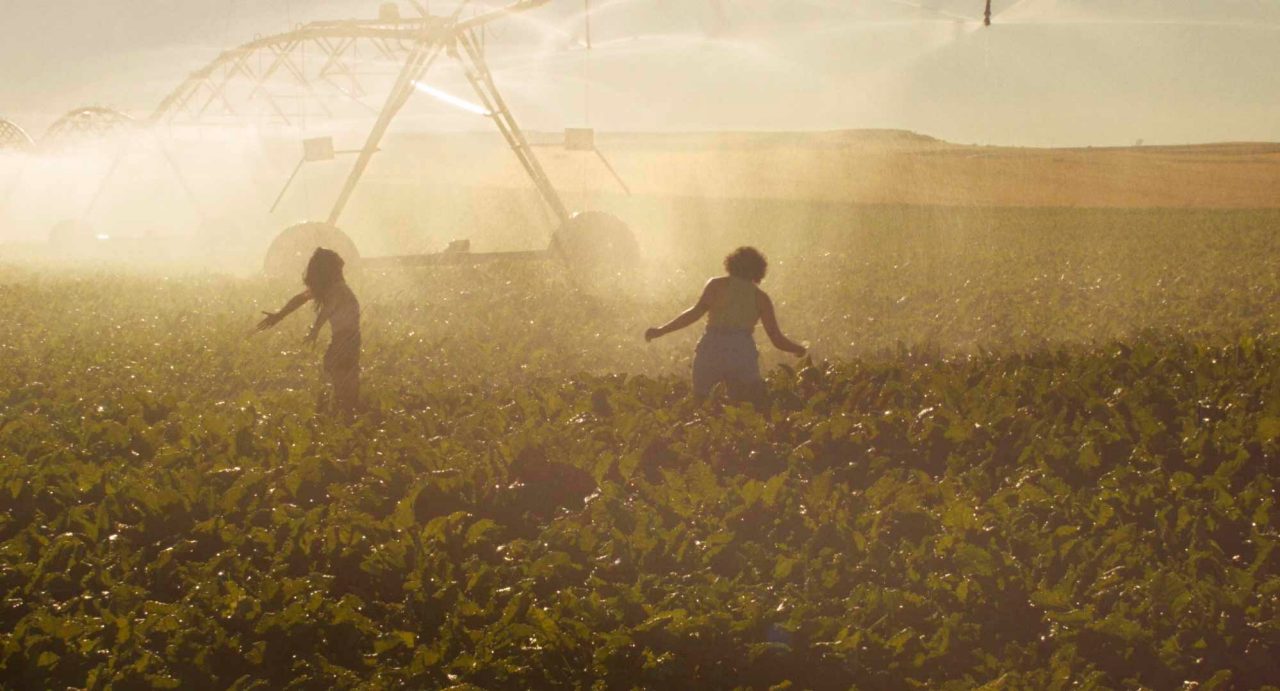 Fotograma de la película "Gallo rojo"