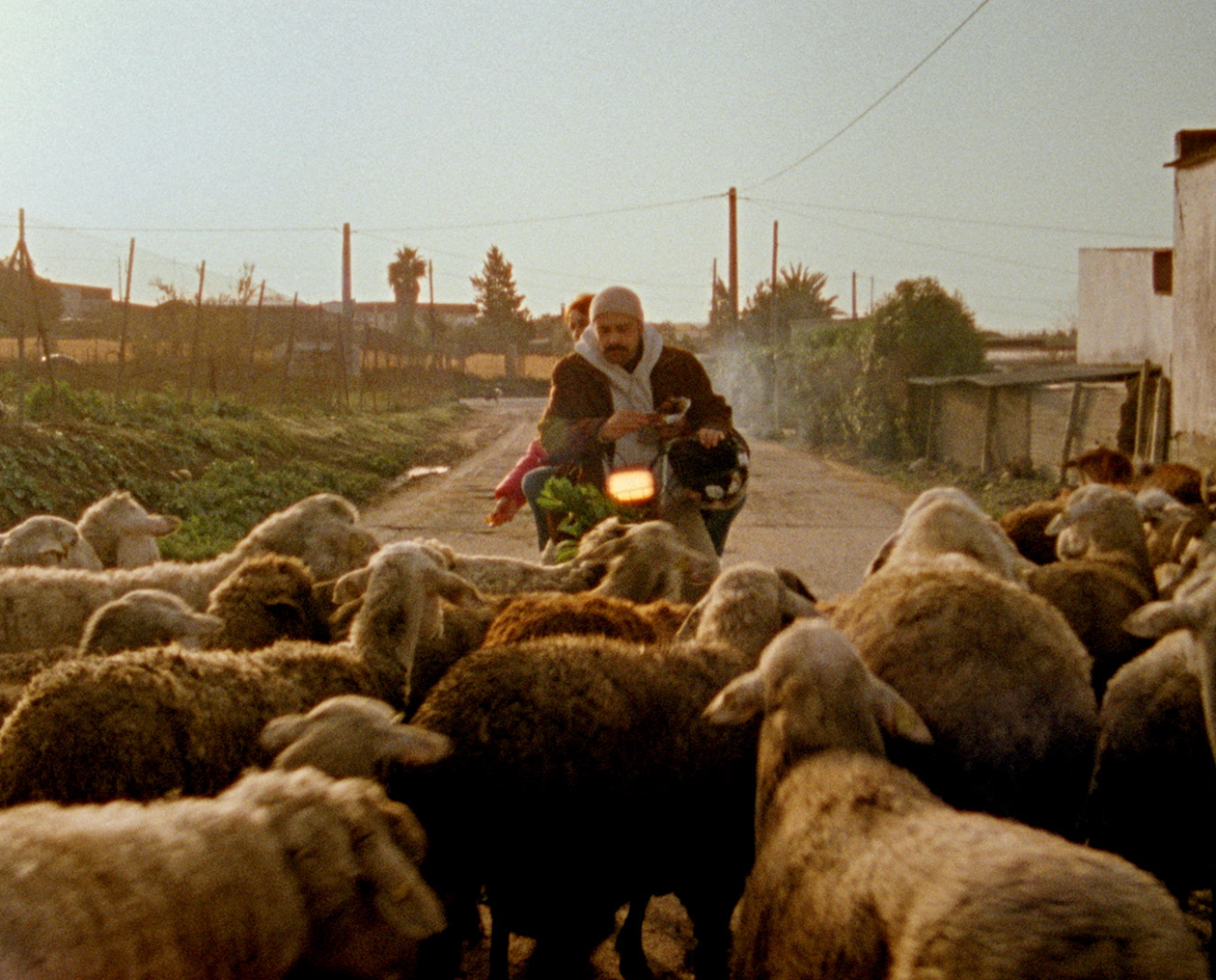 Fotograma de la película "21 paraíso"