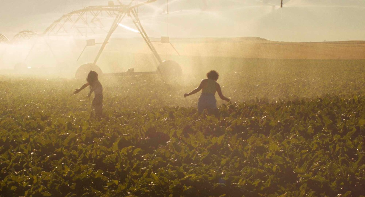 Fotograma de la película "Gallo rojo"
