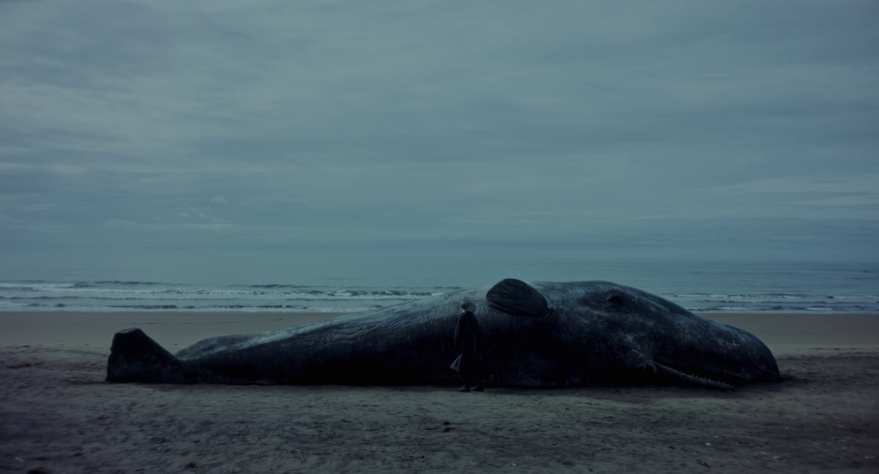 Fotograma de la película "Una ballena"